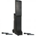Bigfoot Line Array Dual Package with BIG-8000CU4 and your choice of four wireless microphones